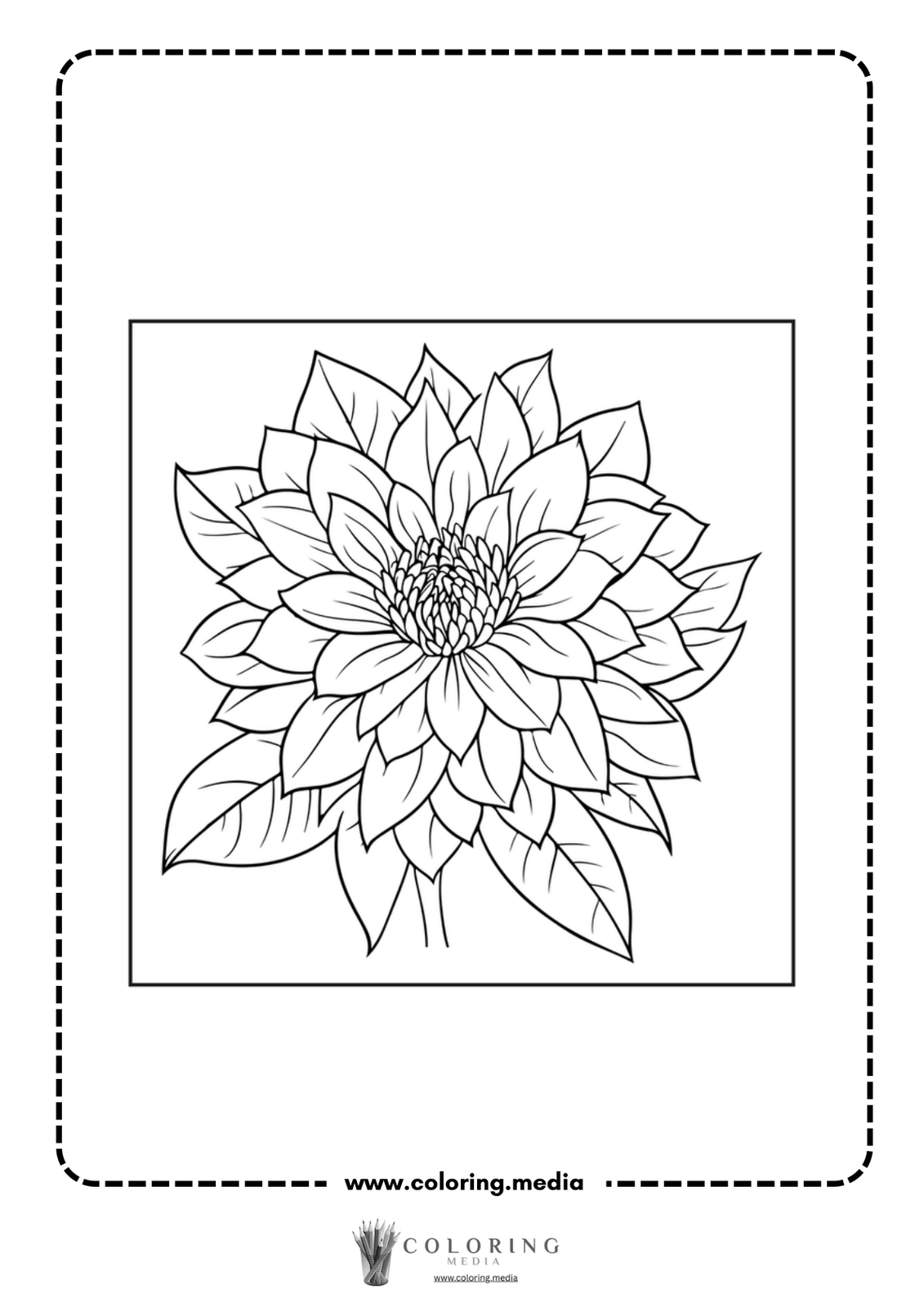 A detailed line drawing of a blooming flower with leaves.