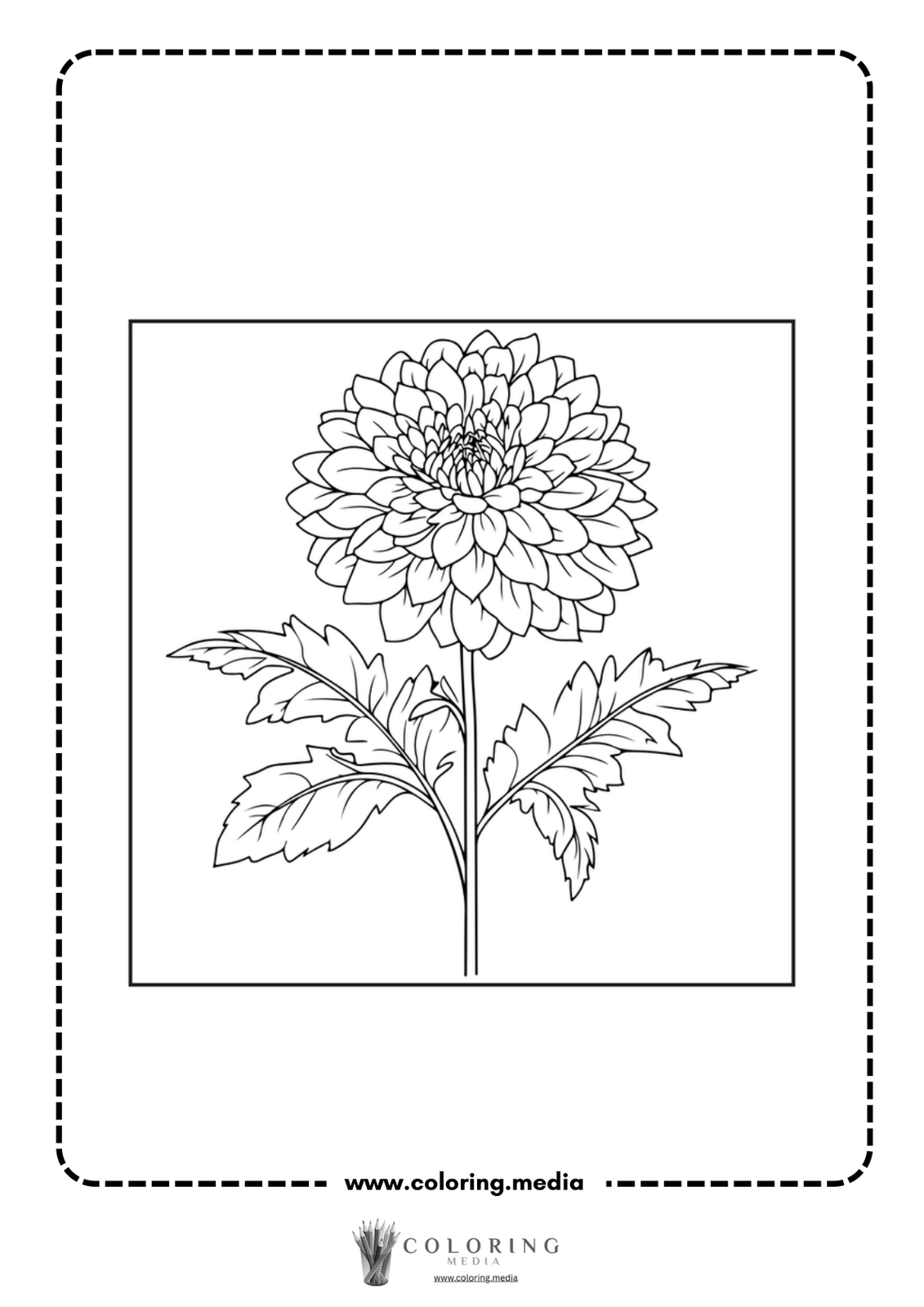 A detailed line drawing of a flower with leaves, ready for coloring.