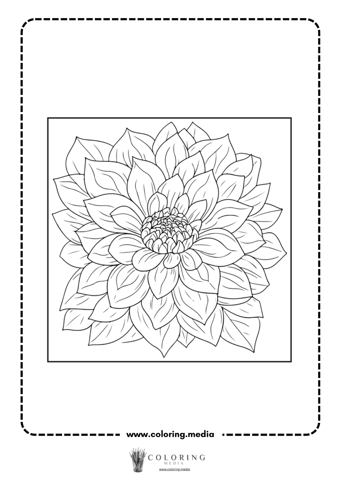 A detailed black-and-white illustration of a blooming flower for coloring.
