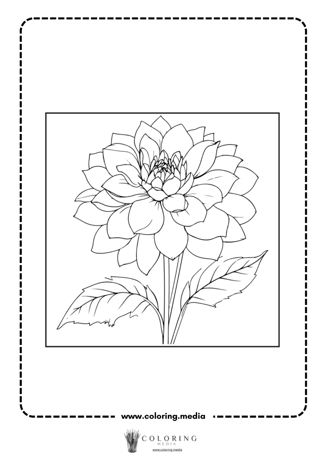 A detailed line drawing of a blooming flower with leaves.