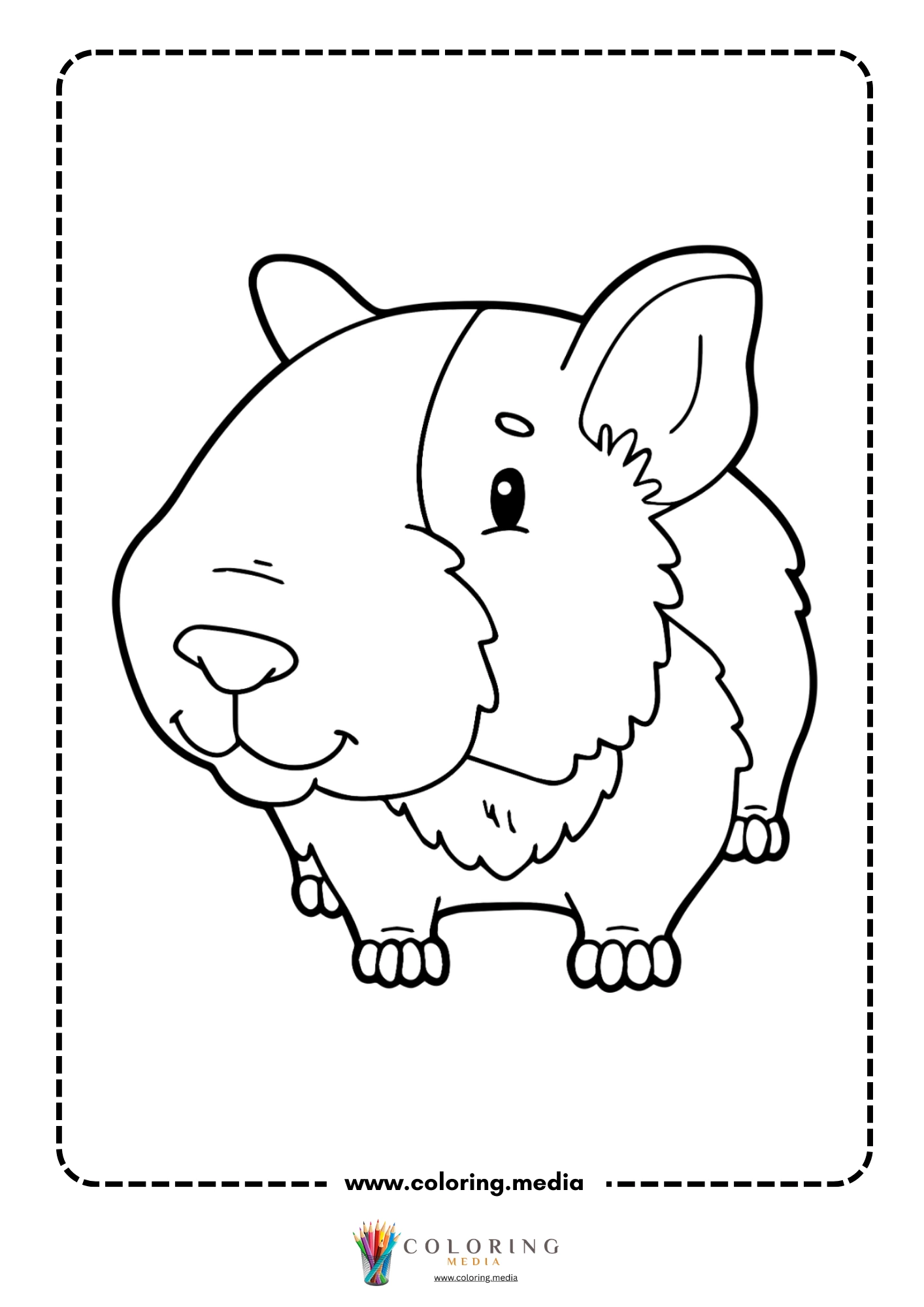 Guinea pig running or scurrying