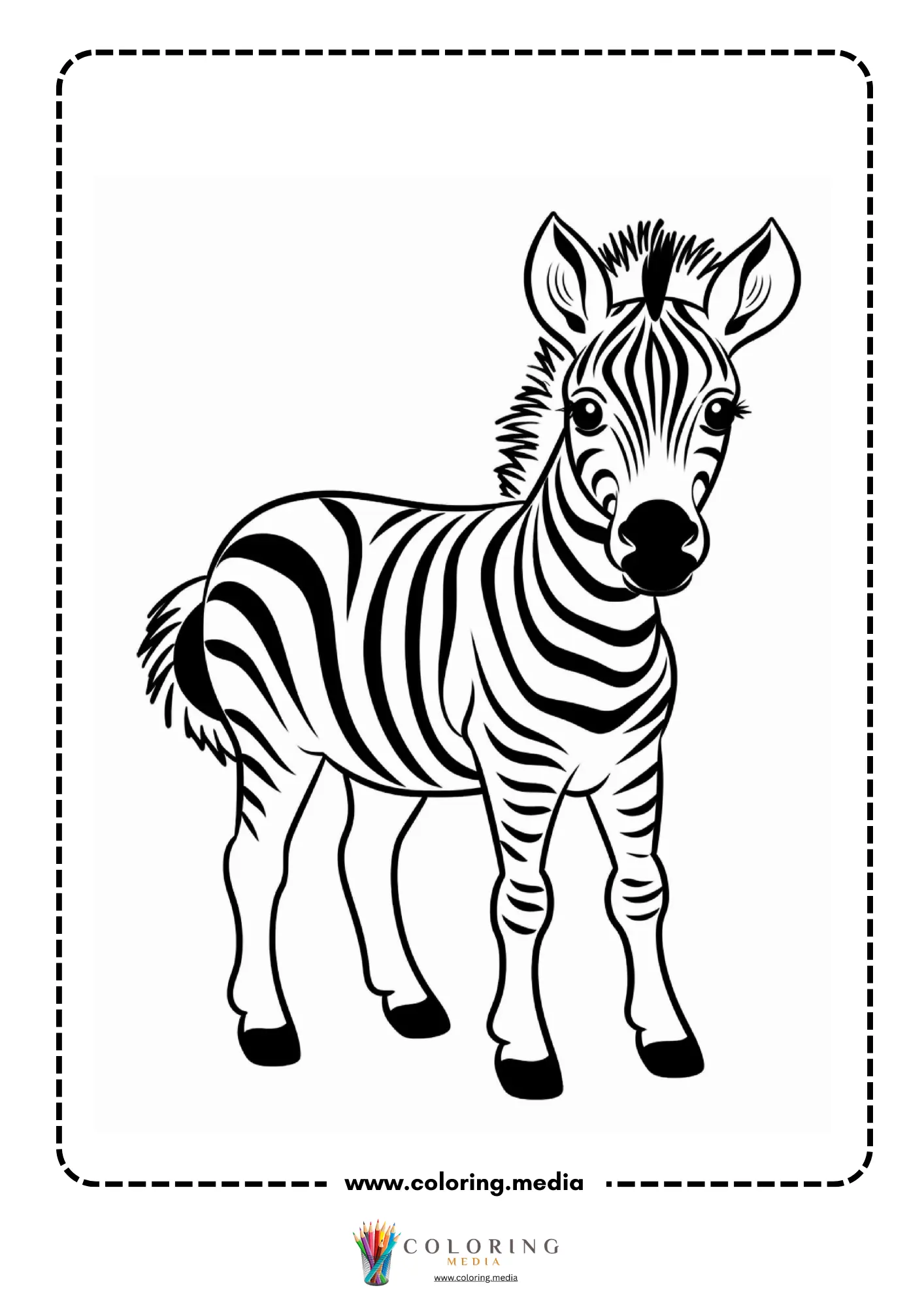 Baby zebra with bold black stripes standing