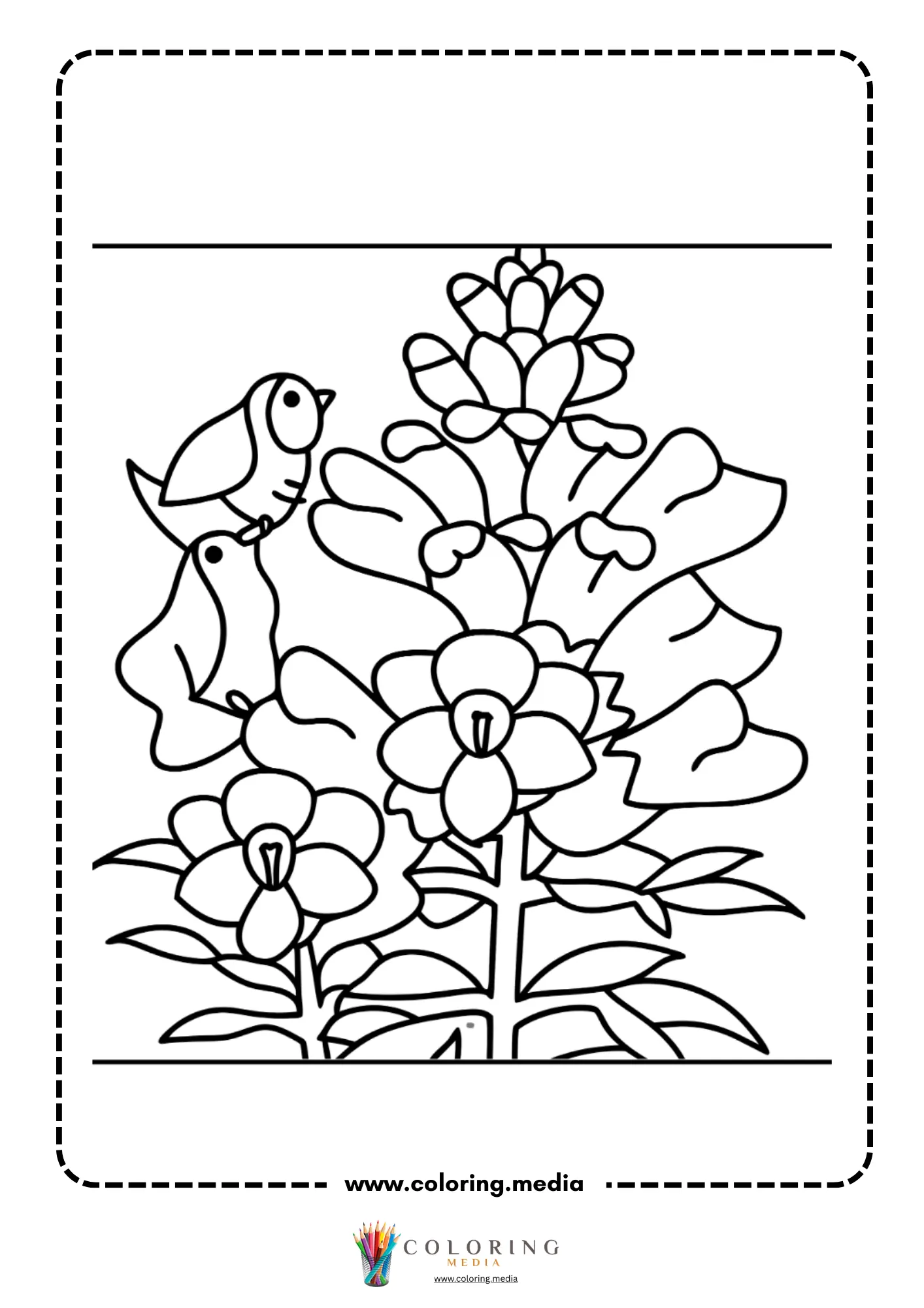 Two small birds perched on large flower bush in bloom