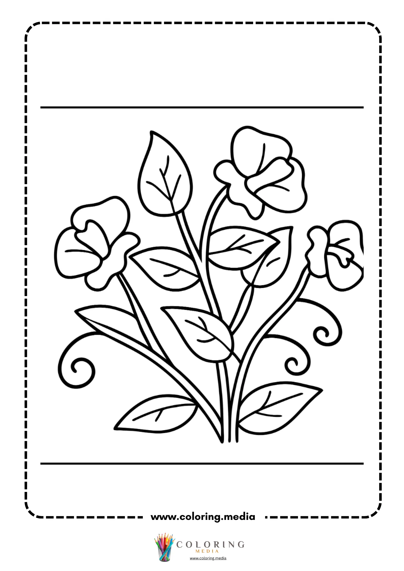 Sweet pea flower bunch with curling vines and leaves