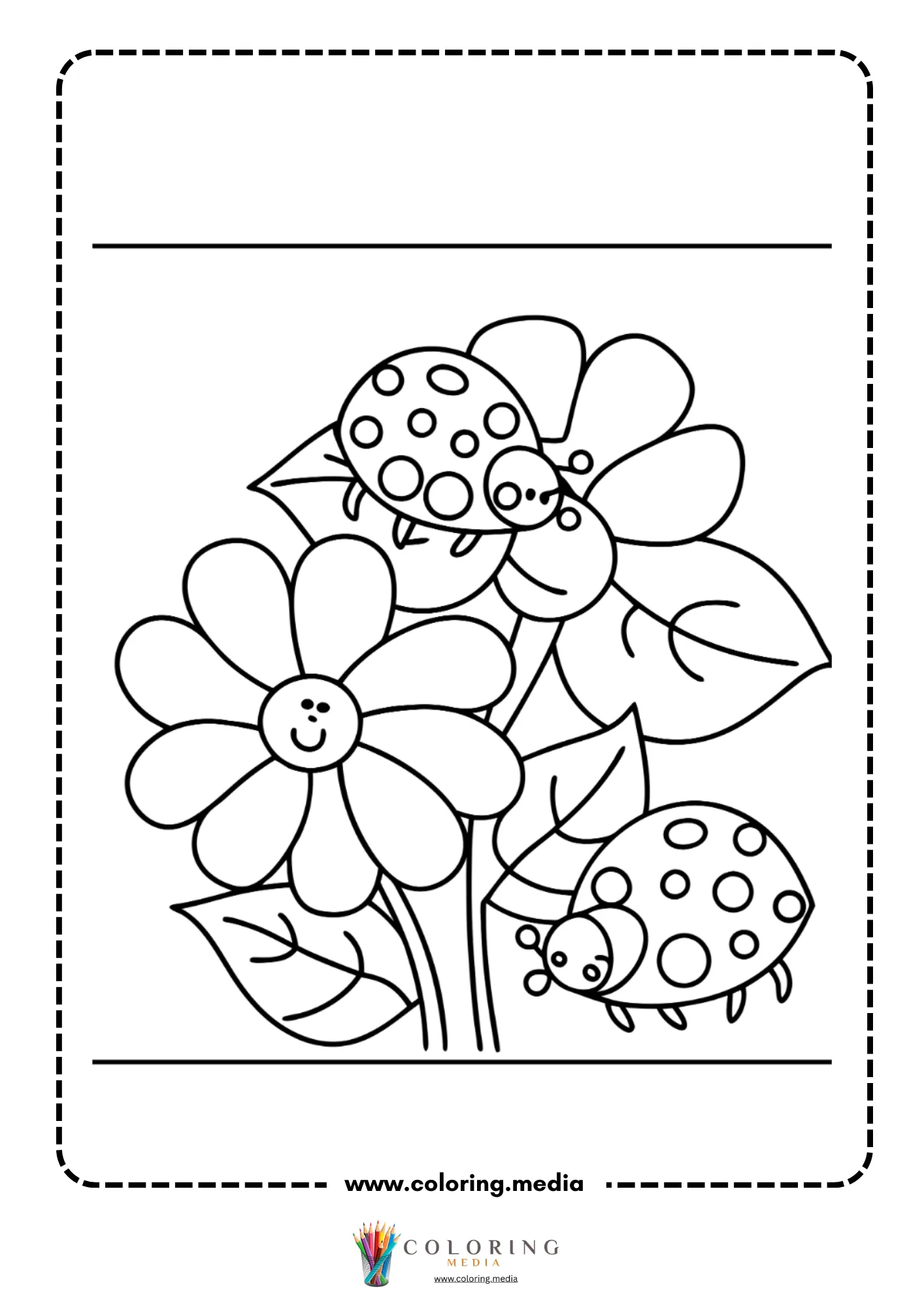 Two flowers with two ladybugs crawling on leaves