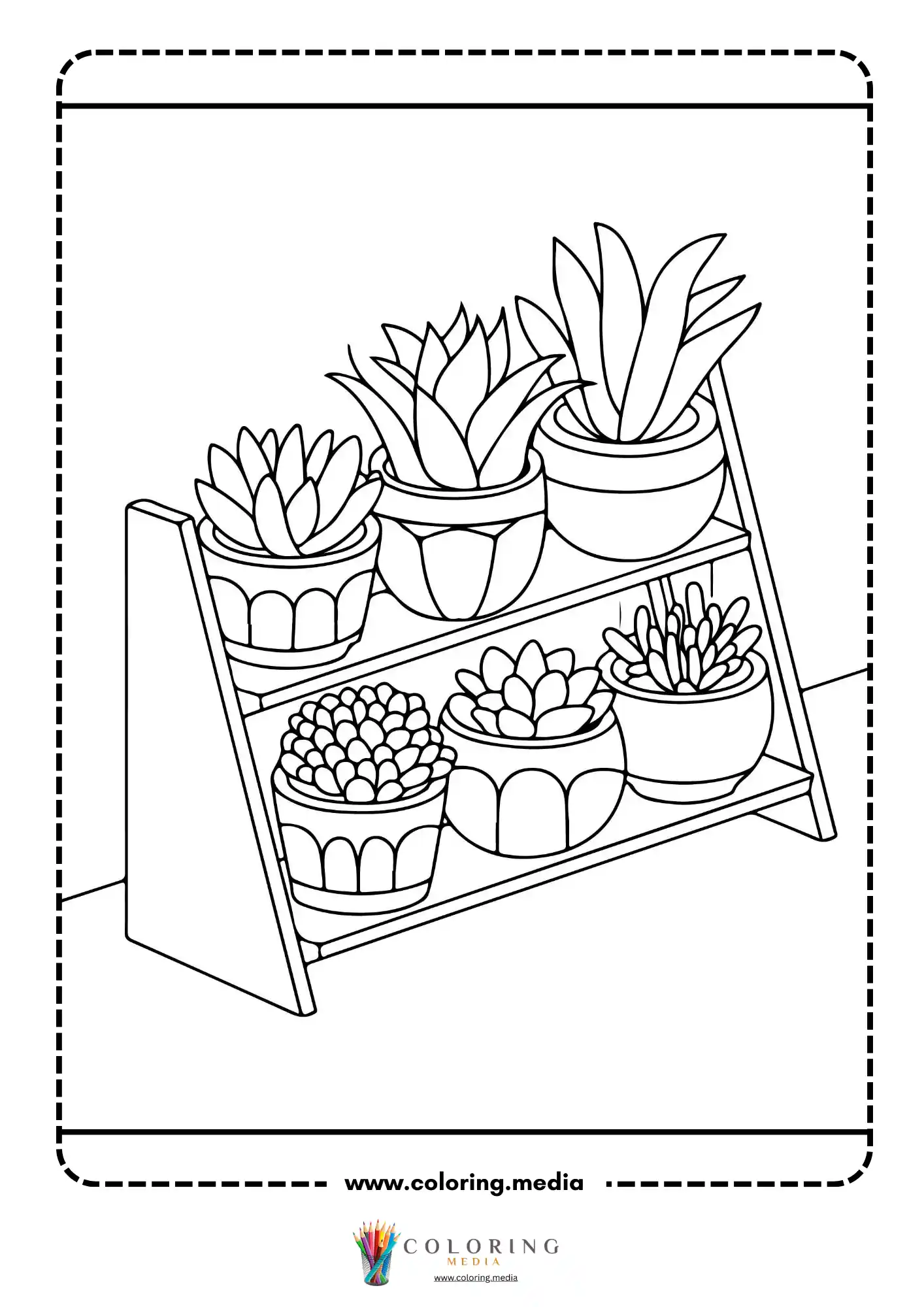 Two-tier wooden stand with six potted succulents