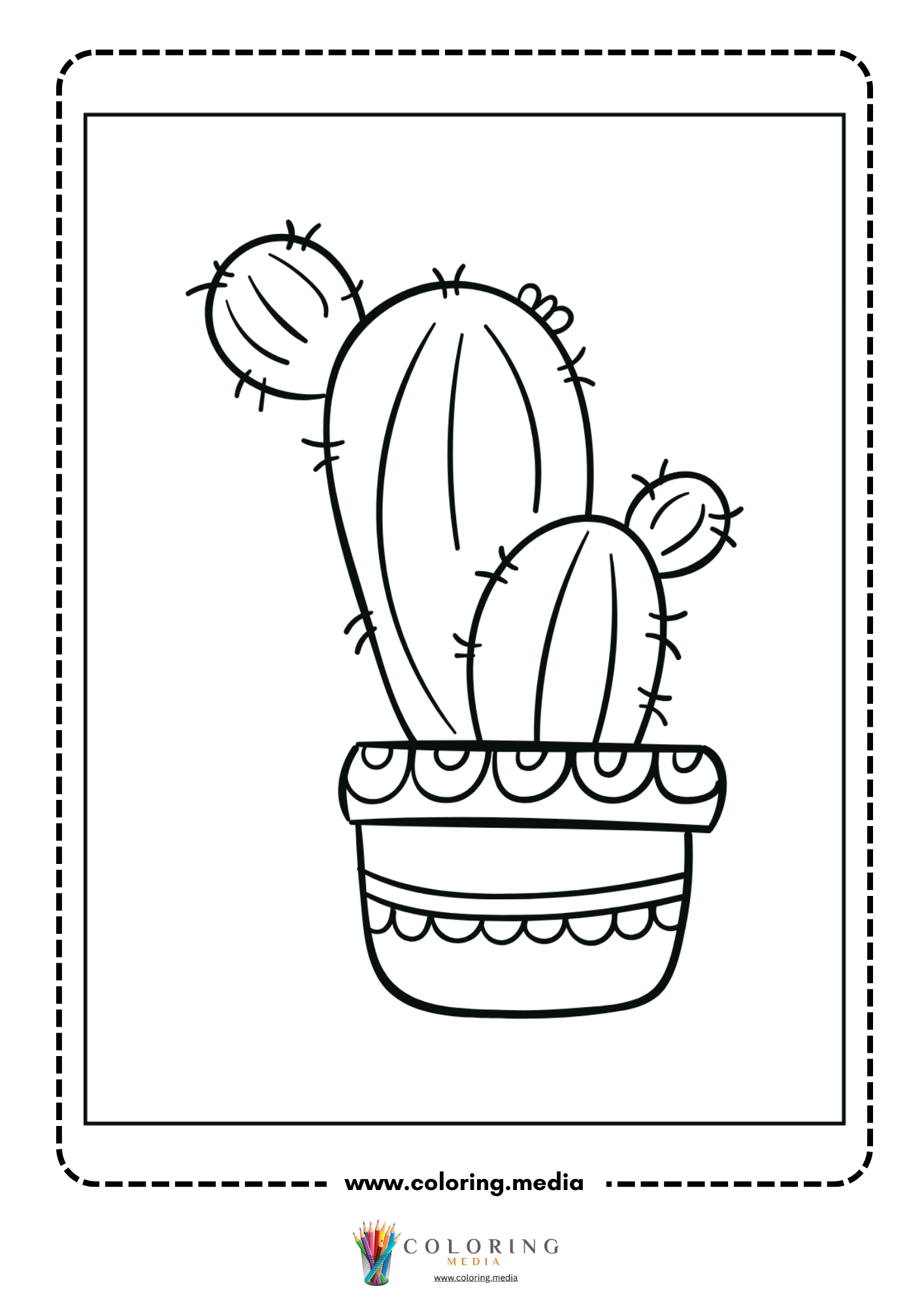 Simple cactus with flower in plain pot