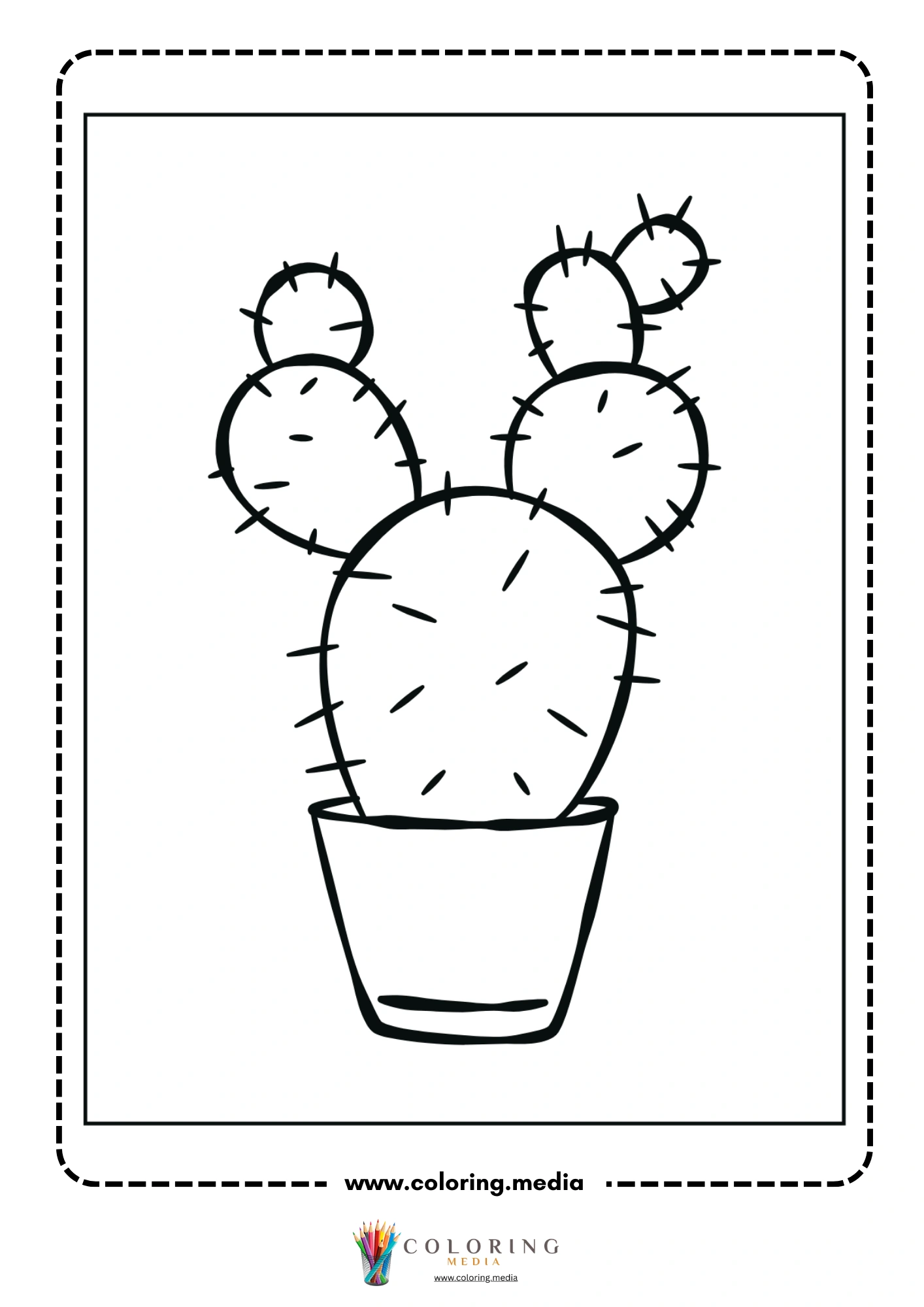 Simple prickly pear cactus in pot