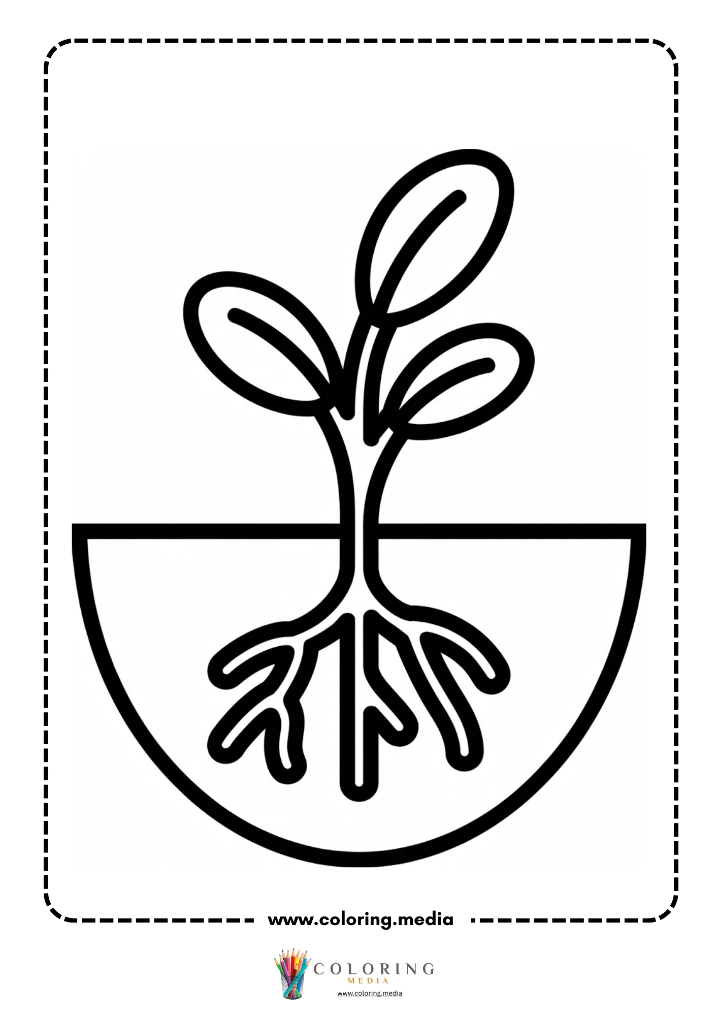 Sprouting plant with visible roots