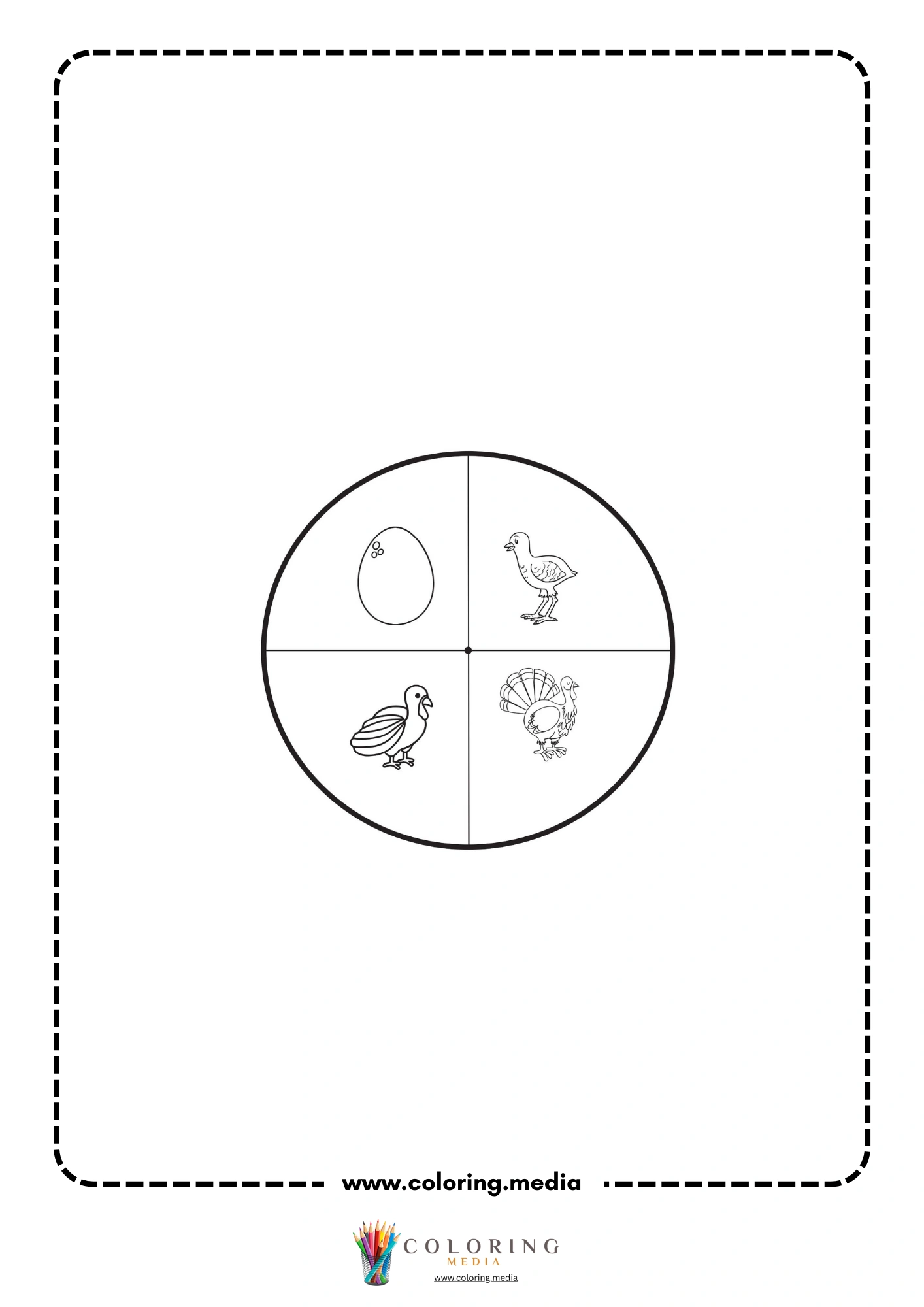 Labeled turkey life cycle wheel