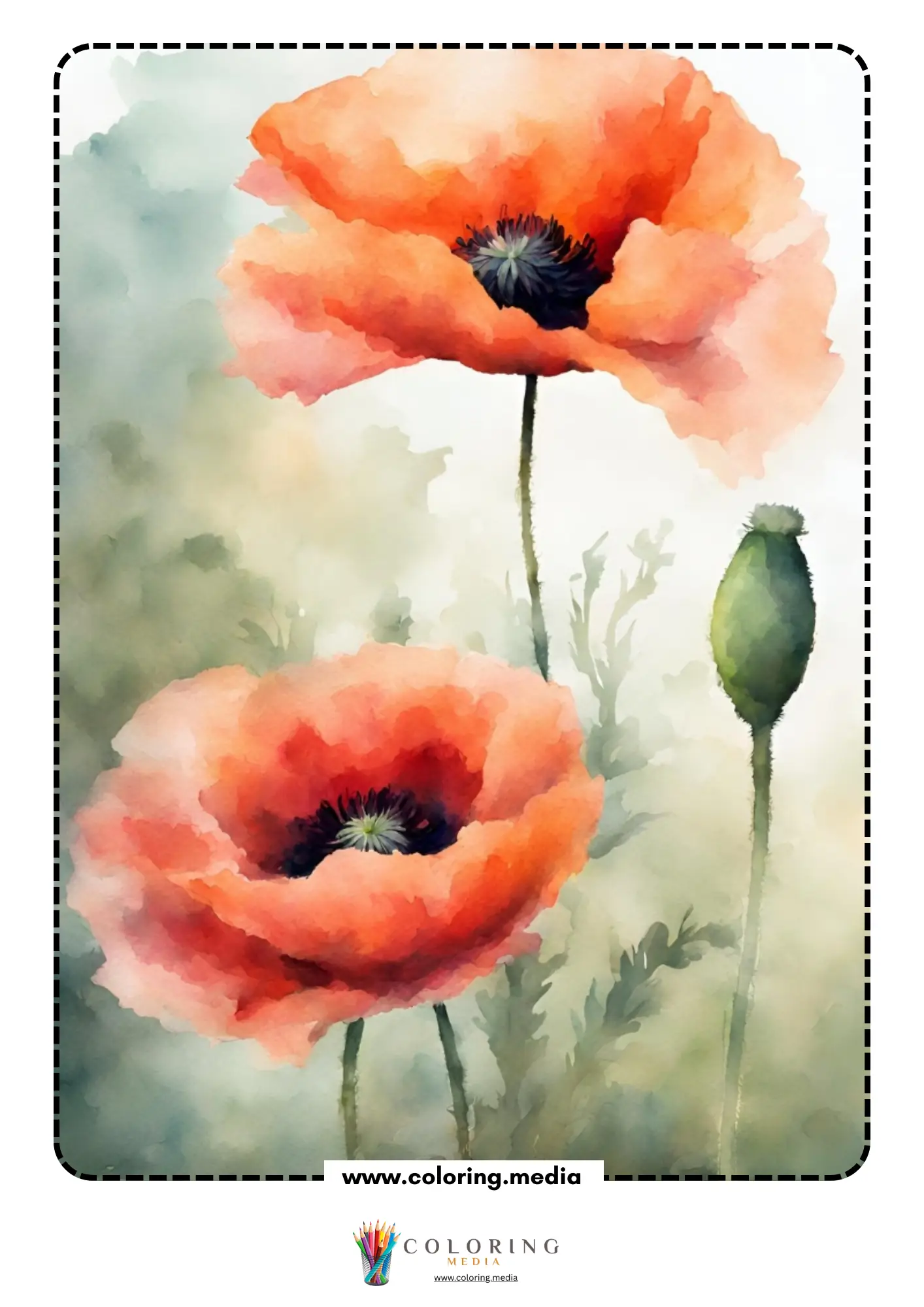 Reverse poppy flower coloring page with red flowers for line drawing